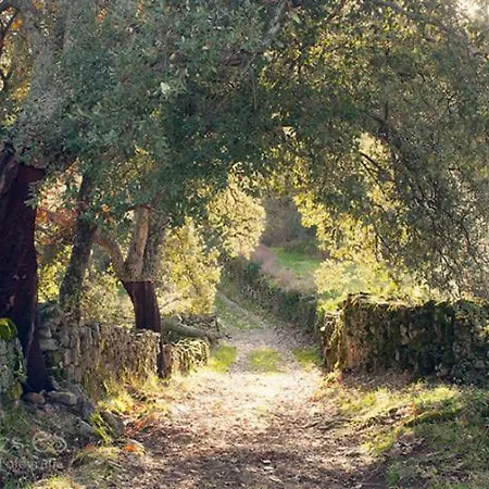 Duplex Jalama Ii Lägenhet Moraleja