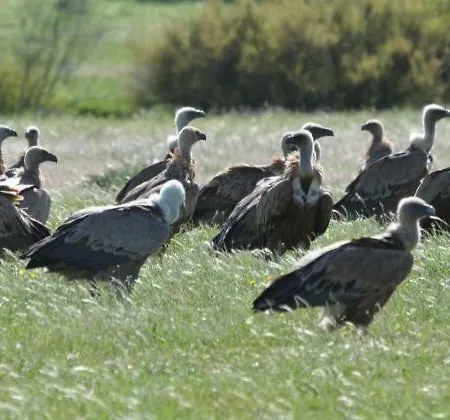 Duplex Jalama Ii Lägenhet Moraleja