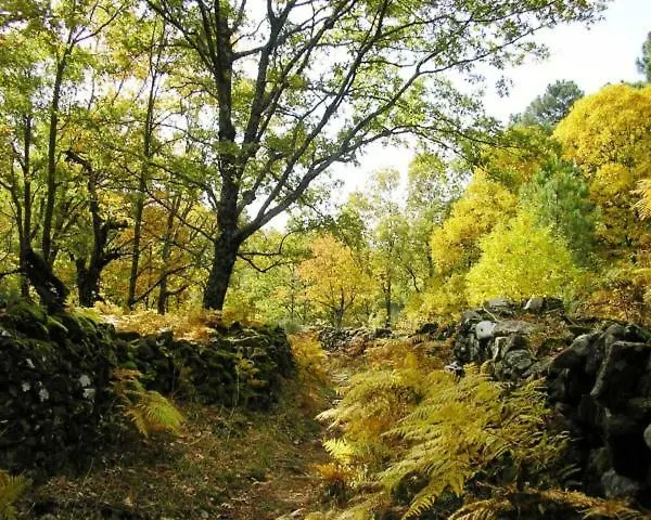 Duplex Jalama Ii Moraleja