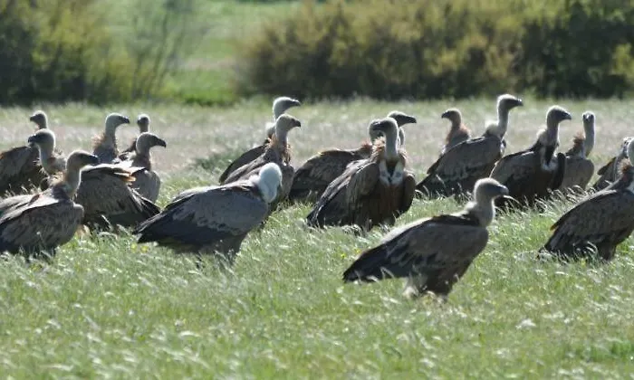 Duplex Jalama Ii דירה מורלחה